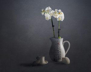 Elegancka kompozycja z orchideami autorstwa John-Mei Zhong