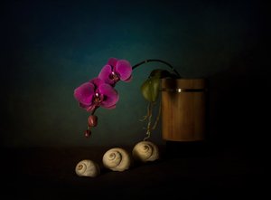 Martwa natura z fioletowymi orchideami