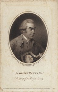 Sir Joseph Banks, angielski przyrodnik, botanik i prezes Royal Society (grafika) autorstwa John (after) Russell