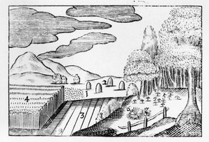 Owoce Ziemi, 1658 autorstwa John Amos Comenius
