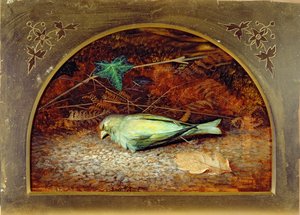 Martwa Linnet autorstwa John Atkinson Grimshaw
