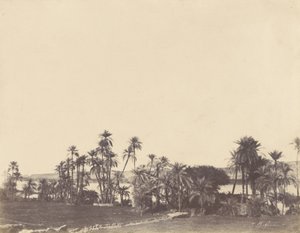 [Brzegi Nilu, Kalabsché]. autorstwa John Beasley Greene