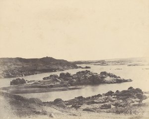Słoniowaty. Pierwsza zaćma autorstwa John Beasly Greene
