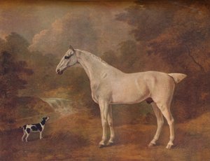 Siwy pchły i terier cętkowany, 1803.
