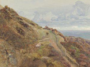 Bonchurch Downs, 1865. autorstwa John Brett