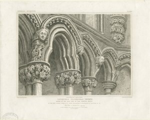 Wnętrze katedry w Lichfield - Łuki w kapitule: rycina, bd [c 1819] (druk)