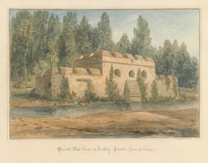 Hampshire - Zamek Netley, 1828 autorstwa John Buckler