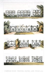 Drewniane płoty, bramy i płotki zagajnikowe, z „Repozytorium Sztuki” Ackermanna, opublikowane 1823 (kolor lito) autorstwa John Buonarotti Papworth