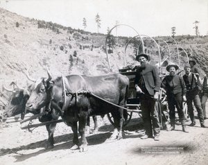 Gorączka złota w Dakocie Południowej autorstwa John C. H. Grabill