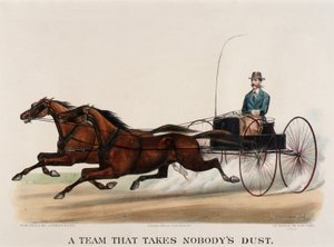 Drużyna, która nie bierze niczyjego kurzu autorstwa John Cameron