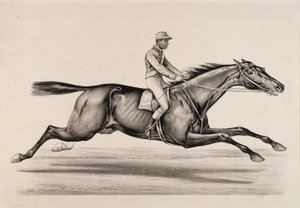 Cesarz Norfolk autorstwa John Cameron
