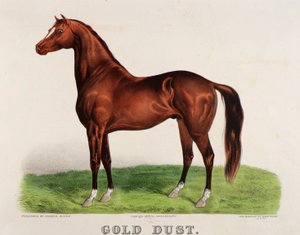 Złoty pył autorstwa John Cameron