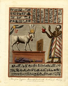 Część egipskiego manuskryptu znalezionego w pokrowcu mumii autorstwa John Chapman