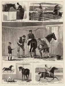 Szkice na Islington Horse Show