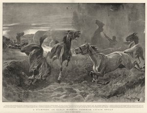 Stampede, zepsuty poranny atak z zaskoczenia