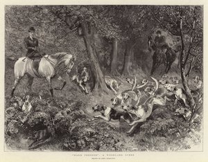 Mocno wciśnięty, scena leśna