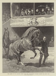 Królowa na Islington Horse Show, zwycięzcy paradują przed Royal Box