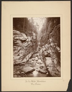 In the White Mountains/The Flume autorstwa John Coates Browne