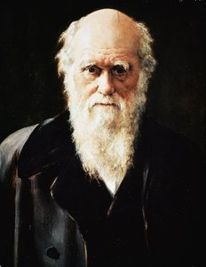 Portret angielskiego przyrodnika Karola Darwina, detal (olej na płótnie) autorstwa John Collier