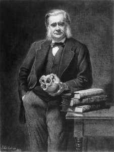 Thomas Henry Huxley (1825-95) wyryty przez Leopolda Flamenga (1831-1911) 1885 autorstwa John Collier
