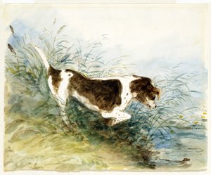 Pies oglądający szczura w wodzie - Dedham, malowany 1831 autorstwa John Constable