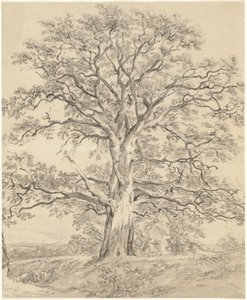 Wielki dąb autorstwa John Constable