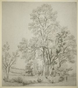 Stoisko Wiązów (recto); Studium East Bergholt z Kościołem (odw.) autorstwa John Constable