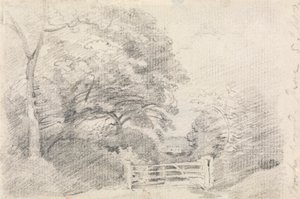 Drewno Coombe