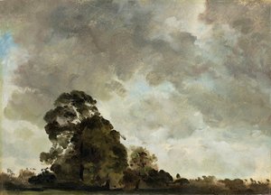 Krajobraz w Hampstead, Tree and Storm Clouds, c.1821 (olej na papierze położony na panelu) autorstwa John Constable