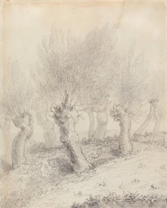 Ogłowione wierzby autorstwa John Constable
