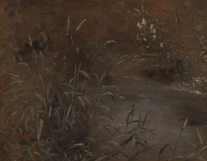 Rushs przez basen autorstwa John Constable