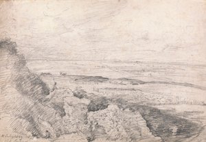 Alfred Russel Wallace (óleo sobre tela) polonês autorstwa John Constable