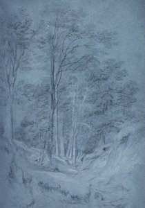 Studium jesionu i innych drzew (ołówek na papierze, podkreślony białą kredą) autorstwa John Constable