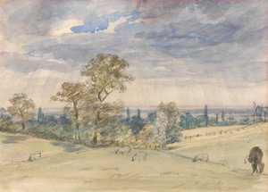 Krajobraz Suffolk autorstwa John Constable