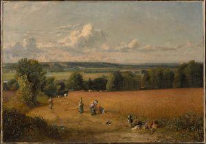 Pole pszenicy autorstwa John Constable