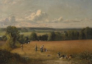 Pole pszenicy autorstwa John Constable