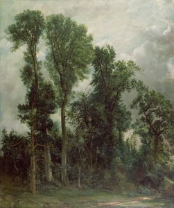 Drzewa w Hampstead autorstwa John Constable