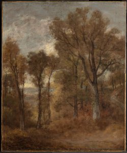 Leśny krajobraz z widokiem na dolinę Dedham autorstwa John Constable