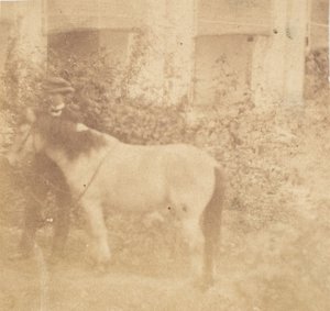 [Człowiek i koń, rząd, Allahabad], 1858. autorstwa John Constantine Stanley