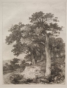 W Colney. autorstwa John Crome