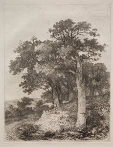 w Colney autorstwa John Crome