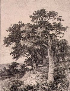 W Colney, wyd. J. i W. Freeman autorstwa John Crome