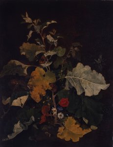 Studium łopianu autorstwa John Crome