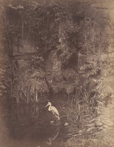 Rybak, nie. 2, 1856.