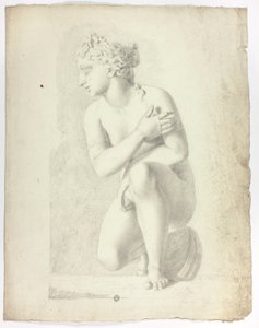 Statua Przyczajonej Wenus