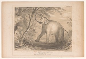 Spotprent spotkał Lorda Ellenborough als een wilde olifant Trąbienie dzikiego słonia. Scena z raju utraconego! (tytuł na obiekcie) HB Sketches (tytuł serii na obiekcie) autorstwa John Doyle