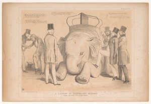 Spotkanie nad de aanstelling van Henry Hardinge als gouverneur van India Lekcja jazdy na słoniach! Studiował z natury w ogrodach zoologicznych (tytuł na obiekcie) HB Sketches (tytuł serii na obiekcie) autorstwa John Doyle