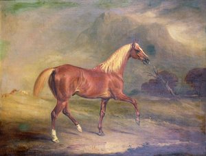 Kasztanowy Ogier Arabski autorstwa John E. Ferneley