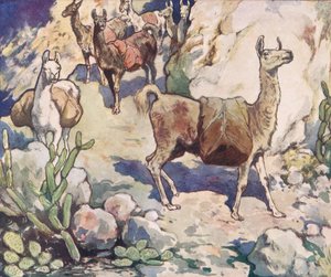 Alpaki na górskiej ścieżce, ilustracja z „Pomocnicy bez rąk” Gladys Davidson, wydanej w 1919 r. (kolor litho) autorstwa John Edwin Noble