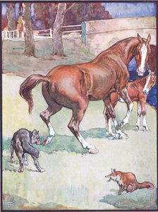 Klacz podniosła kopyto, ilustracja do lisa Reynarda, z Animal Legends from Many Lands, wydanej przez Raphael Tuck & Sons Ltd. autorstwa John Edwin Noble